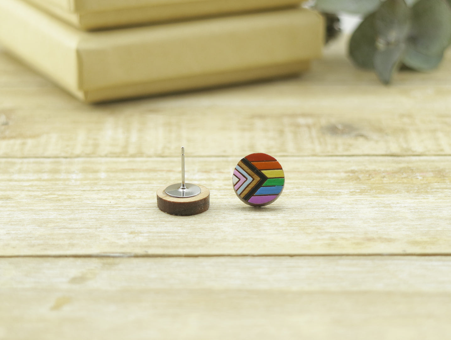 Pride Flag Circle Earrings