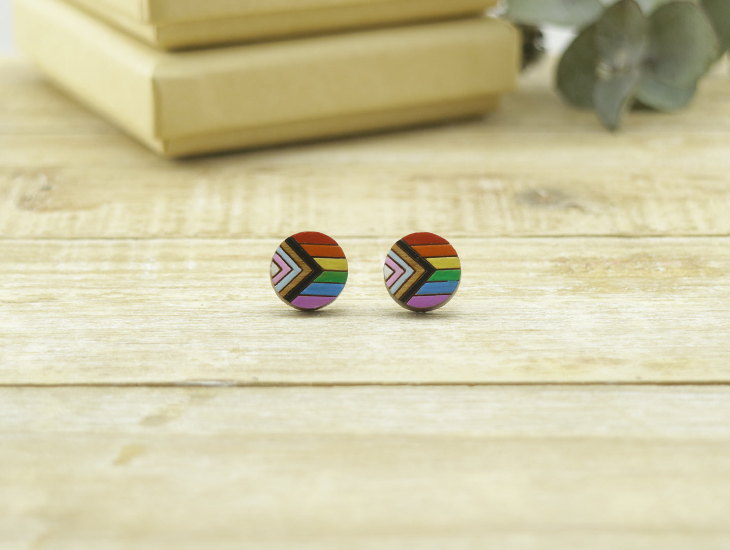 Pride Flag Circle Earrings